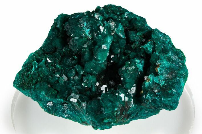 Emerald-Green Dioptase Crystal Cluster - Congo #368196